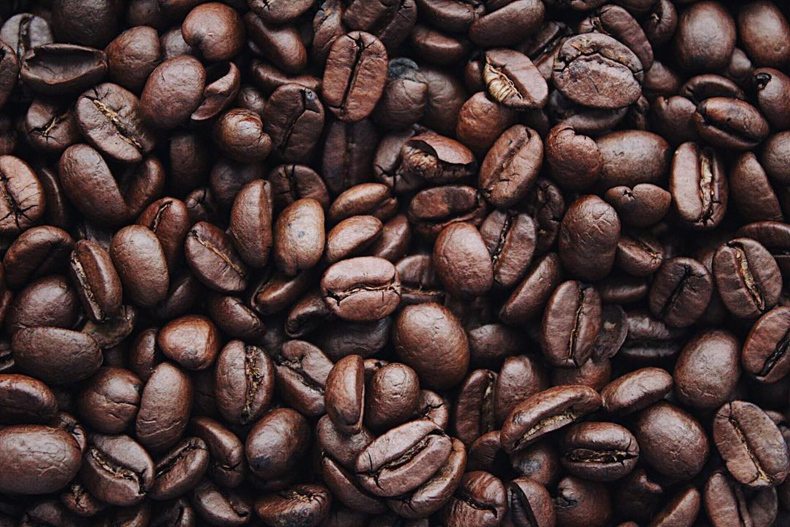 Il rapporto tra caffè e il bruxismo