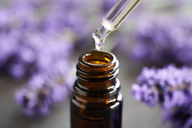 lavanda e bruxismo